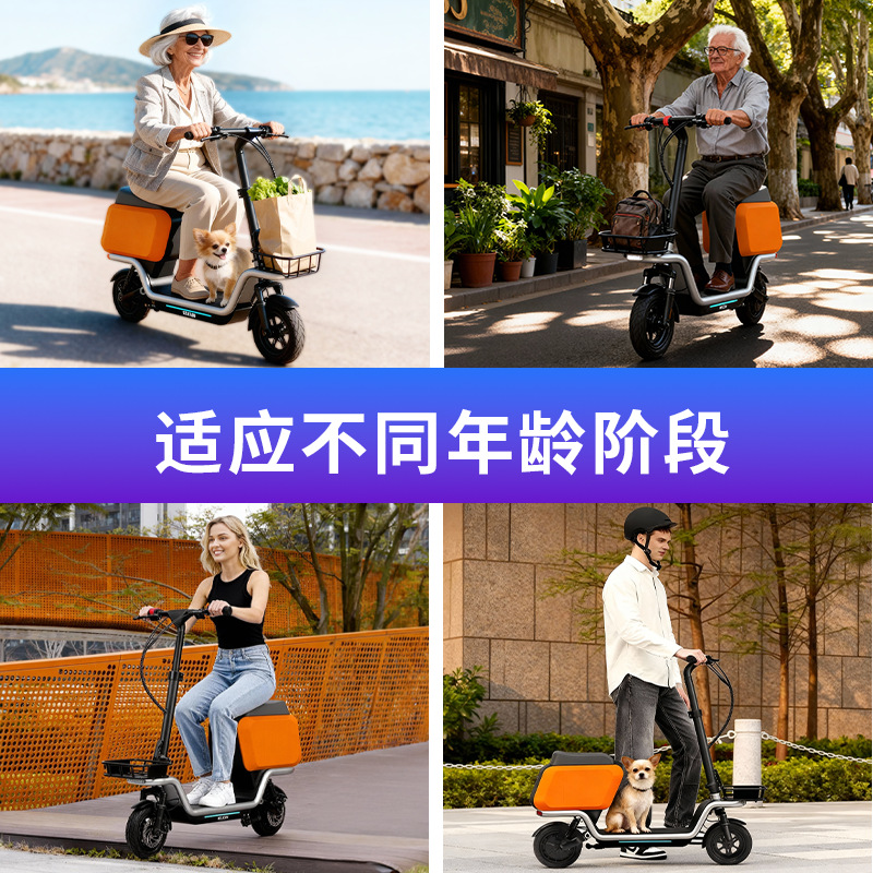 Volwassen elektrische scooter  - Scooter Electric recensie en prijs